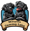 Margolis Gaming Labs